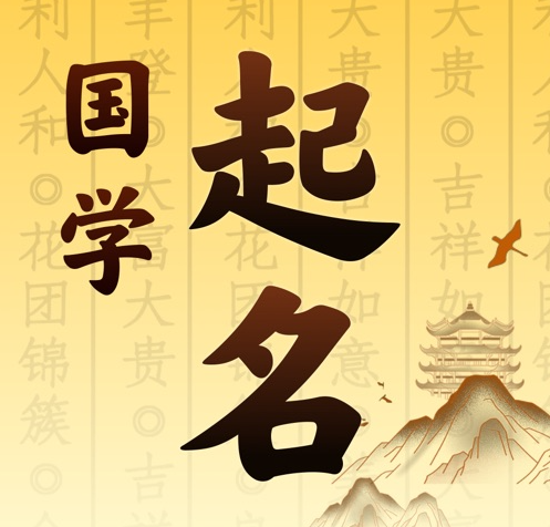 南充市国学起名 人工起名一对一