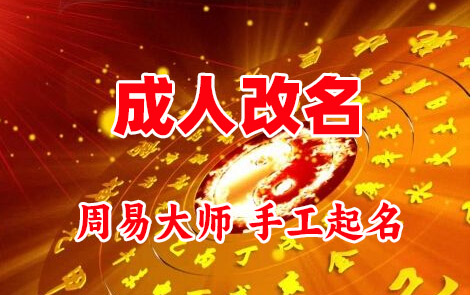 南充市成人改名-找大师一对一改名先分析后改名